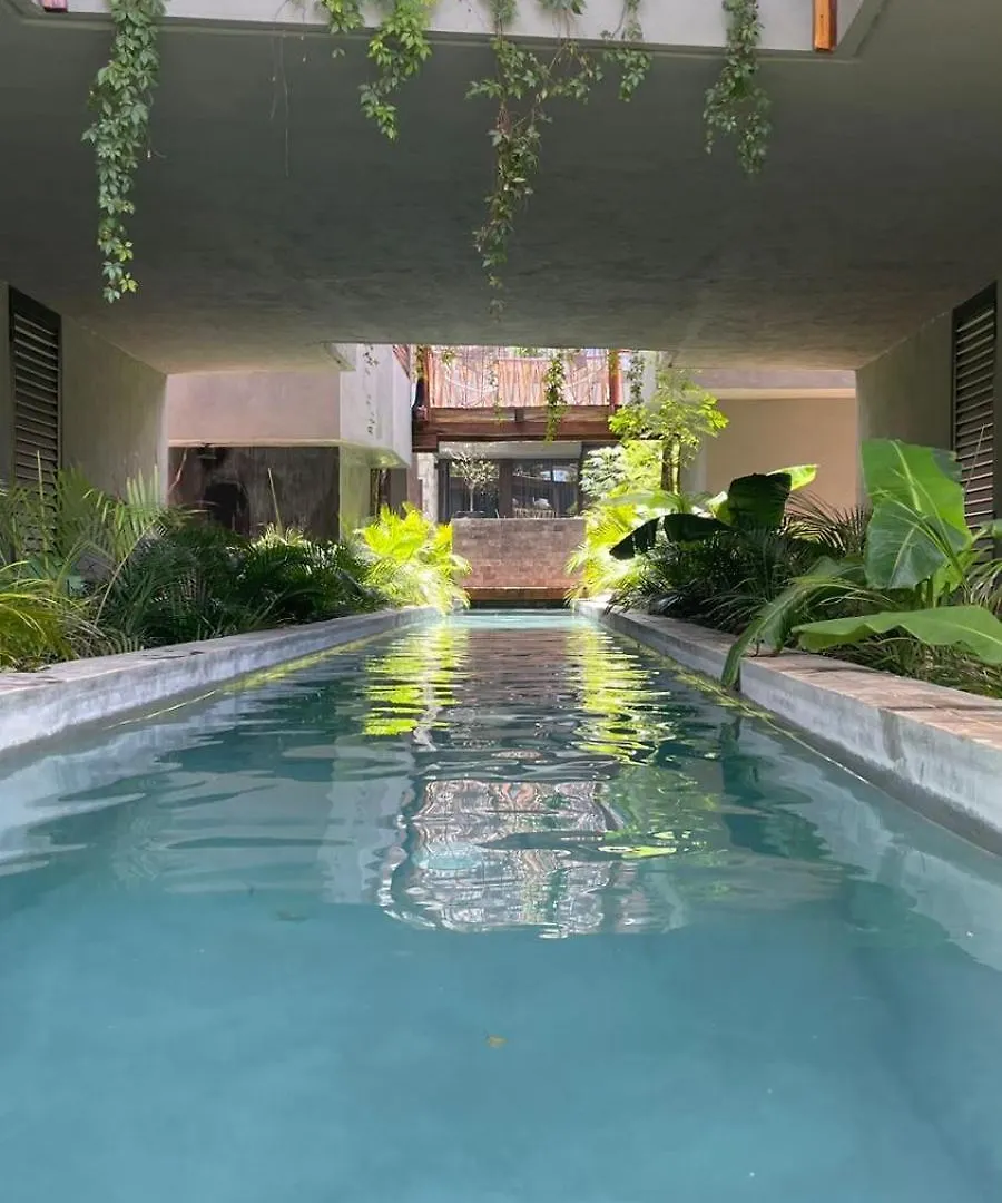 Jungle Luxury Romantic Beach Club Private Pool Tulum